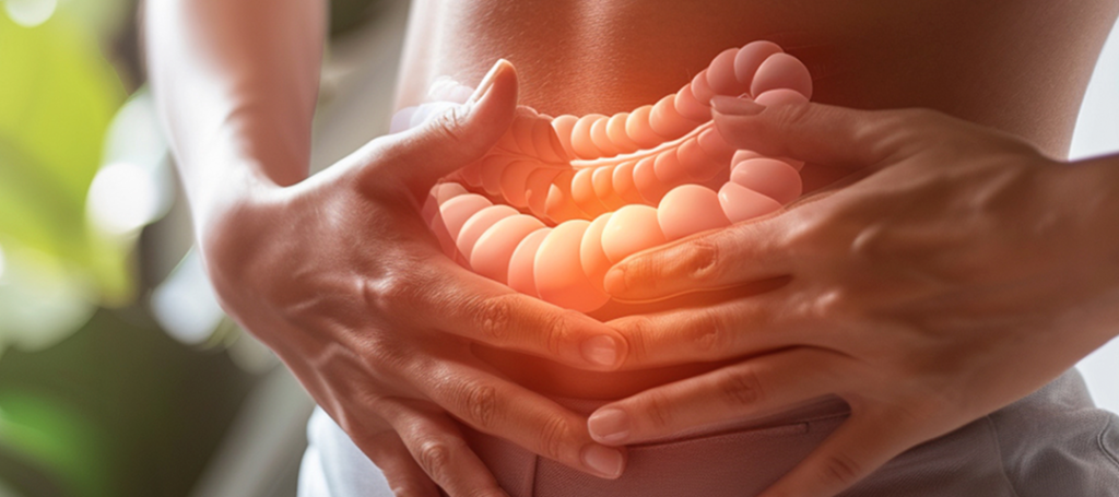 Modulação intestinal com probióticos manipulados para equilíbrio da microbiota